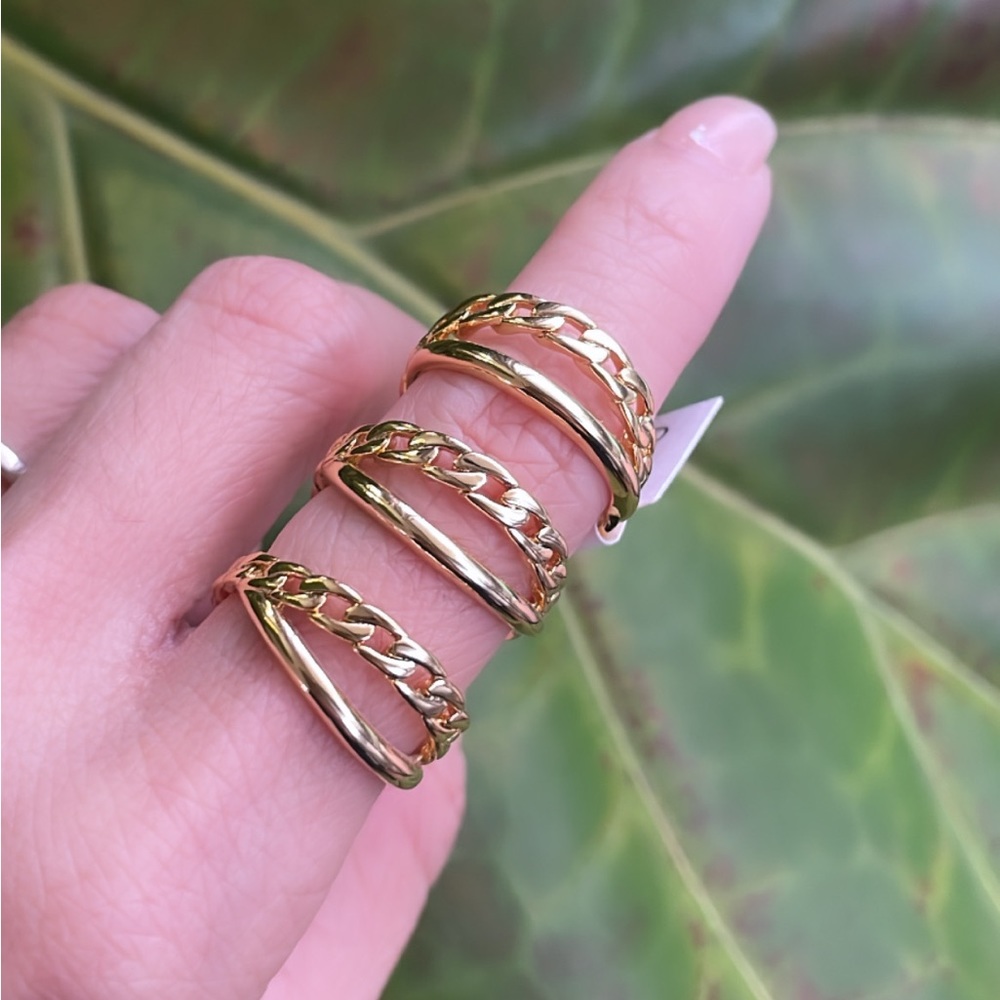 NWT- Double band ring